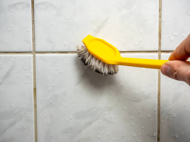 Best Same-Day Mold Removal  in Horton, KS