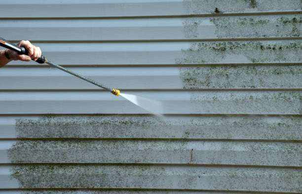 Best Local Mold Removal Service  in Horton, KS