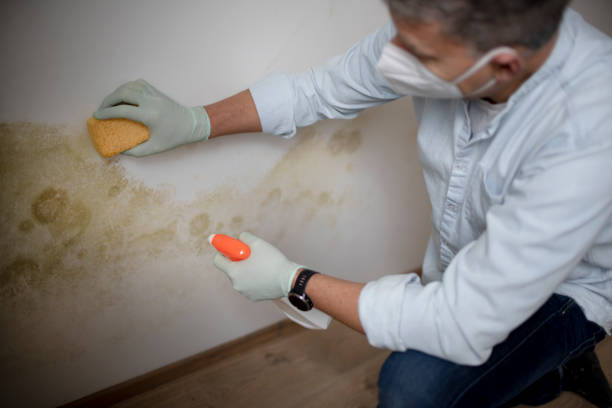 Best Crawl Space Mold Removal  in Horton, KS