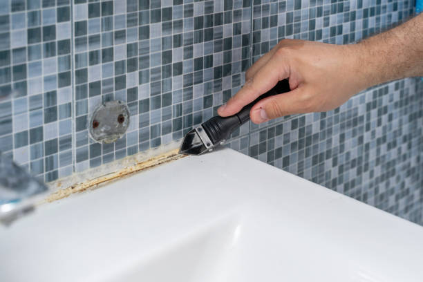 Best Commercial Mold Removal  in Horton, KS