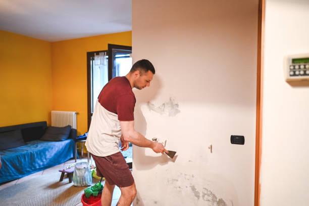 Certified Mold Removal in Horton, KS